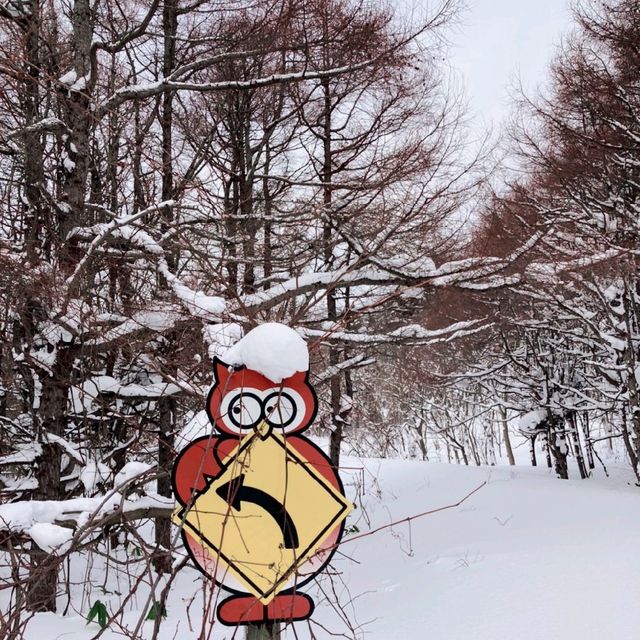 利尻島　森林公園の看板