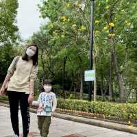 屯門湖山公園 打卡親子散步都可以