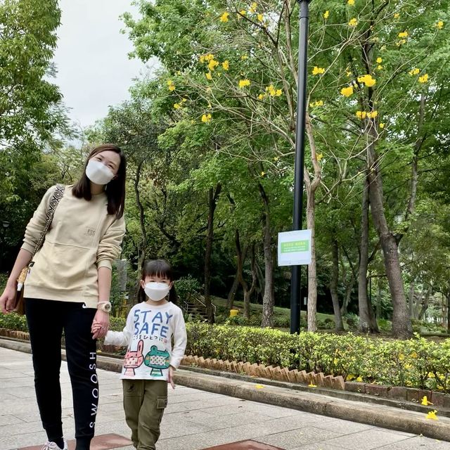 屯門湖山公園 打卡親子散步都可以