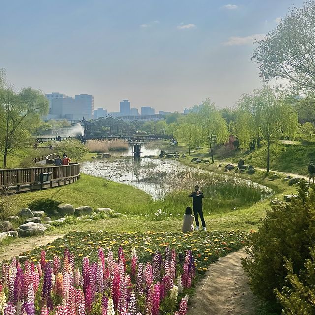 서부해당화라고 들어봤나🌸