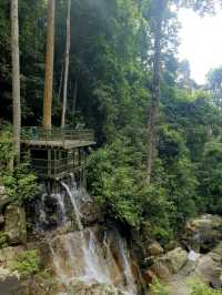 Penang Botanical Garden