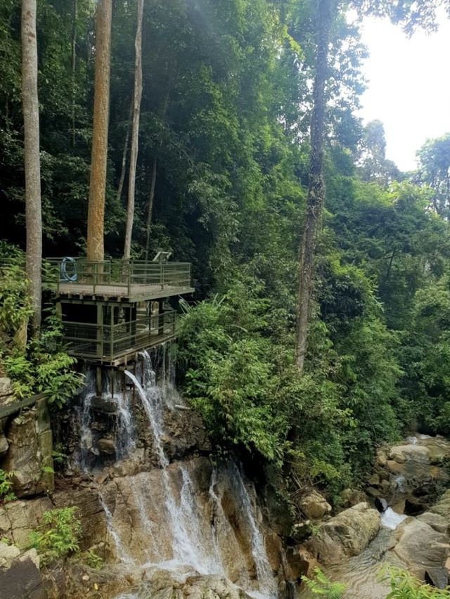 Penang Botanical Garden