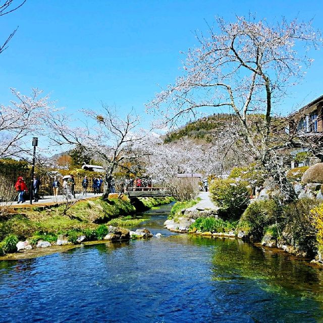 忍野八海