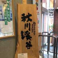 東京郊遊好去處➡️秋川溪谷🤩🤩