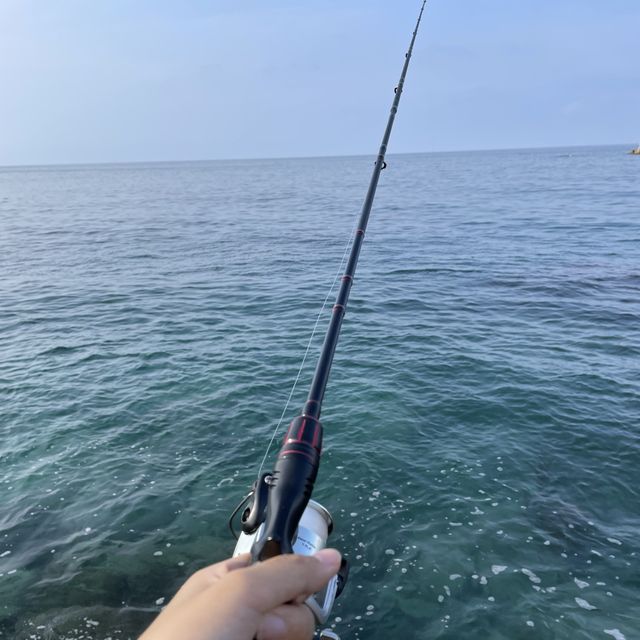 강릉에서 아빠랑 바다낚시하기 🌊🐟