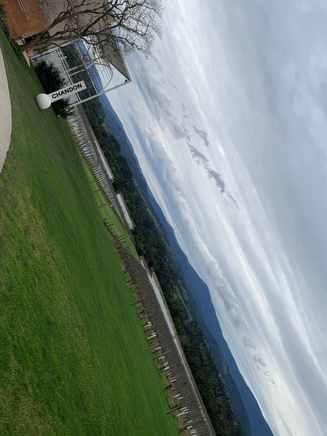 Chandon @ nice vineyard in Melb 🇦🇺 