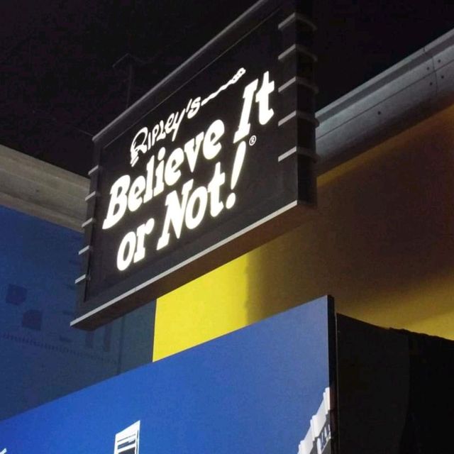 Surfers Paradise Ripleys Believe Or Not