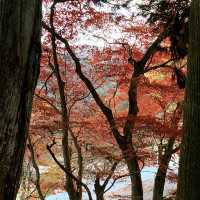 紅葉が素晴らしく　即身成仏のミイラがある珍しいお寺