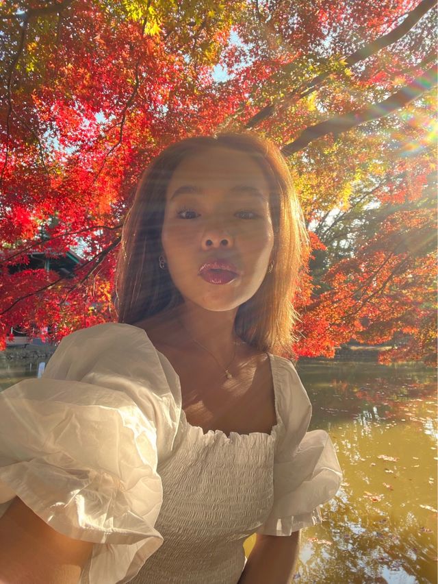 こどもの国🌳