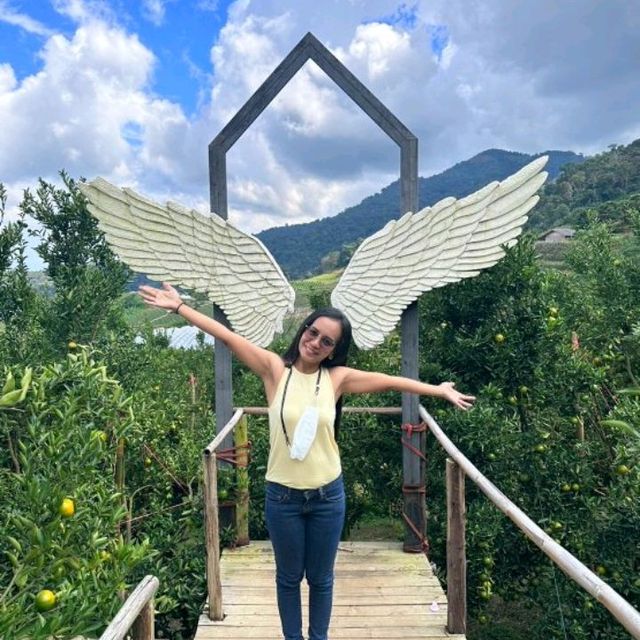 🍊🌿สวนของฉัน My garden ม่อนแจ่ม เชียงใหม่  🌿🍊 
