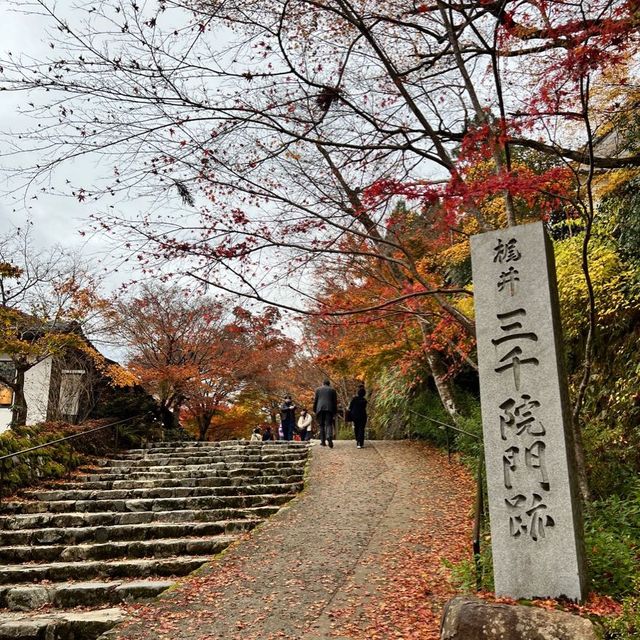 【京都】紅葉が美しい京都のパワースポット
