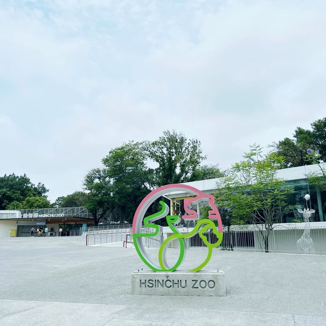 逛動物園也能很chill 新竹市立動物園 周邊市集不要錯過