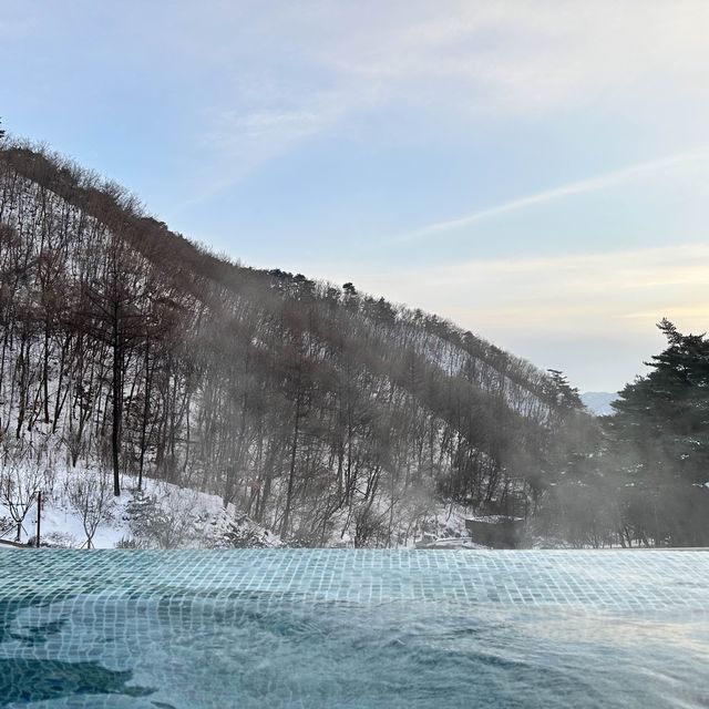 숲 속 한가운데에서 온천 즐기는 해브나인 스파🧖‍♀️