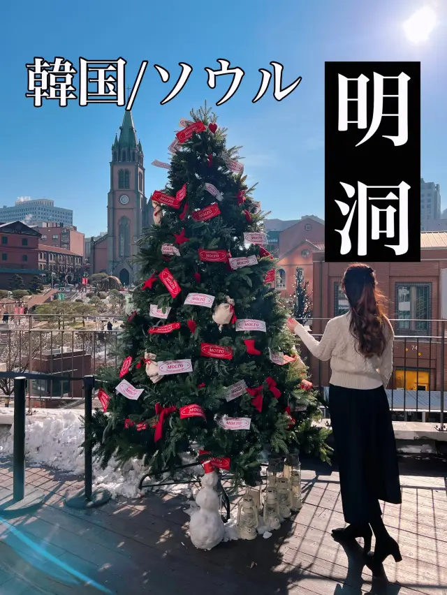 韓国/ソウル【明洞】クリスマスの人気スポット🎄明洞聖堂が見えるカフェ❤️‍🔥