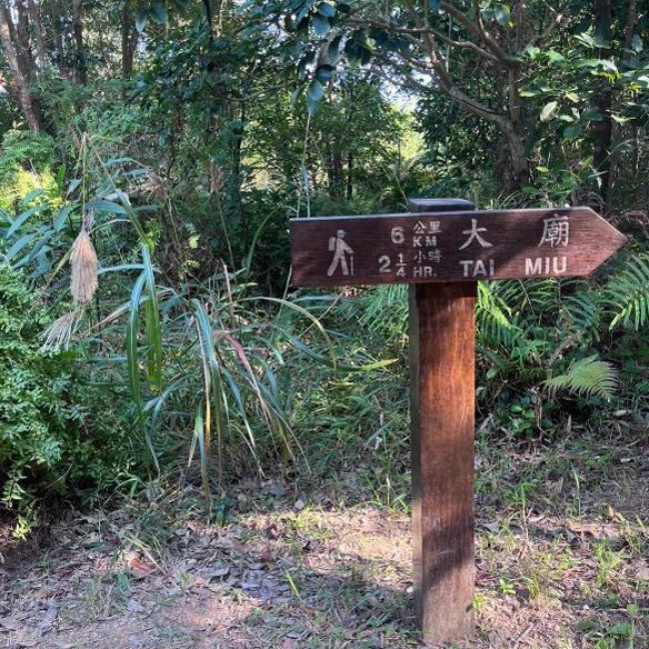 High Junk Peak, 鈞魚翁
