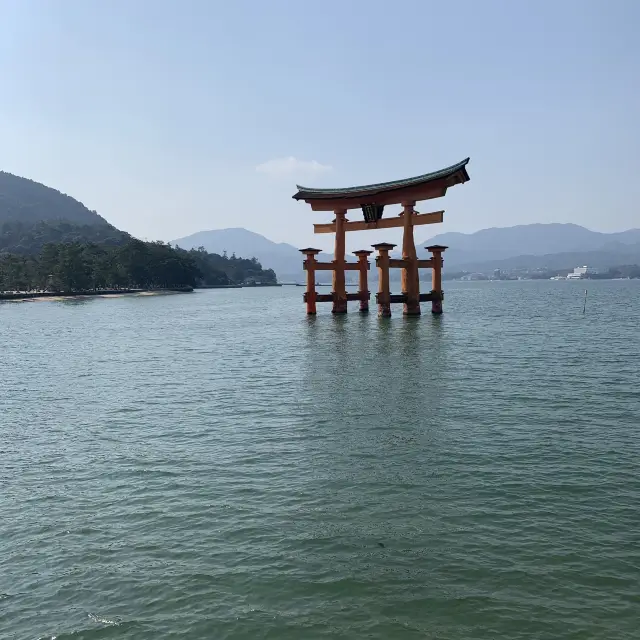 🇯🇵일본 히로시마🇯🇵