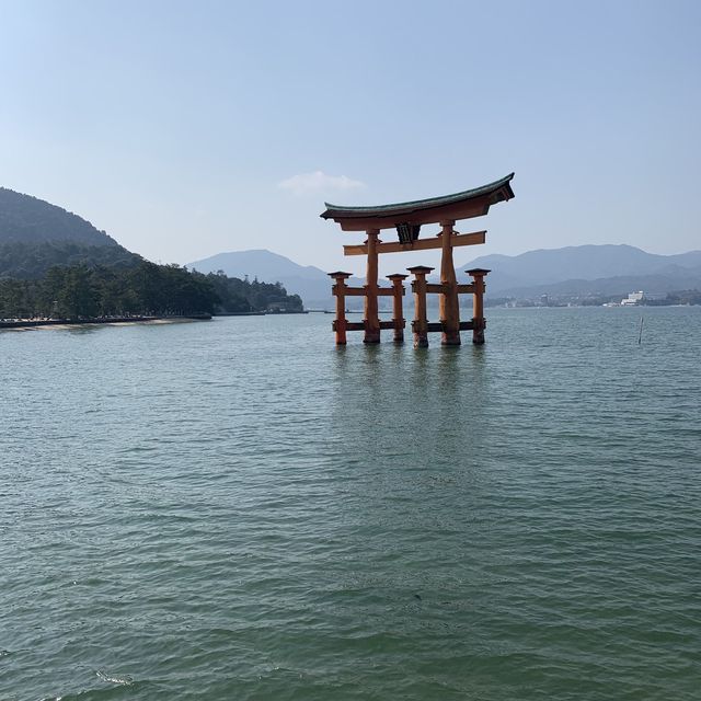 🇯🇵일본 히로시마🇯🇵