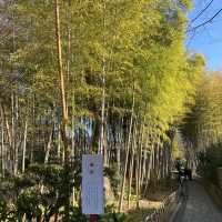 修善寺『竹林の小径』