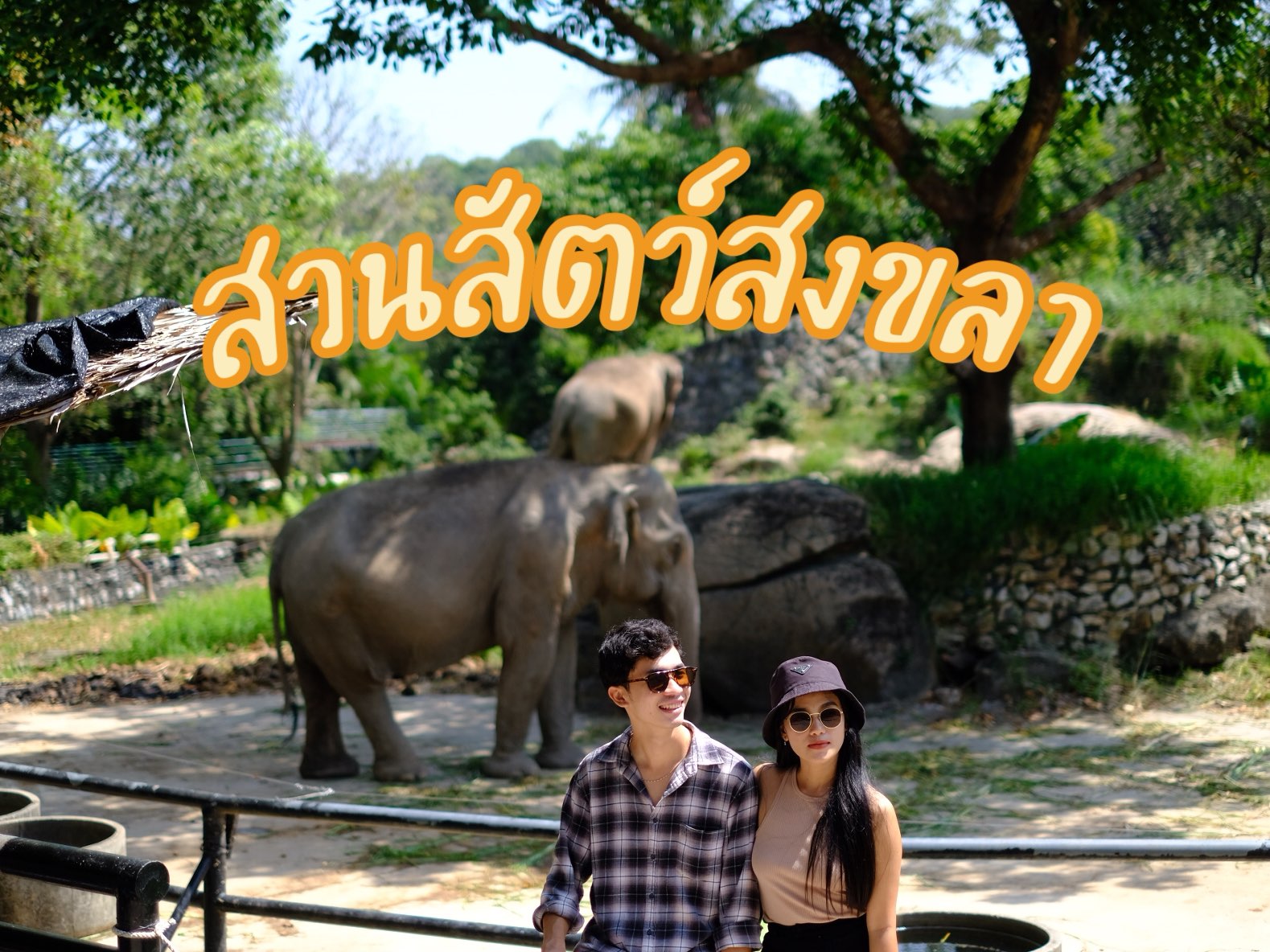 สวนสัตว์สงขลา ข้อมูลแนะนำการท่องเที่ยวสวนสัตว์สงขลาสำหรับปี 2566 (อัปเดตล่าสุดเดือนก.ค.) จาก Trip Moments|คู่มือนักเดินทาง Trip.com สวนสัตว์สงขลา ข้อมูลแนะนำการท่องเที่ยวสวนสัตว์สงขลาสำหรับปี 2566 (อัปเดตล่าสุดเดือนก.ค.) จาก Trip Moments|คู่มือนักเดินทาง Trip.Com