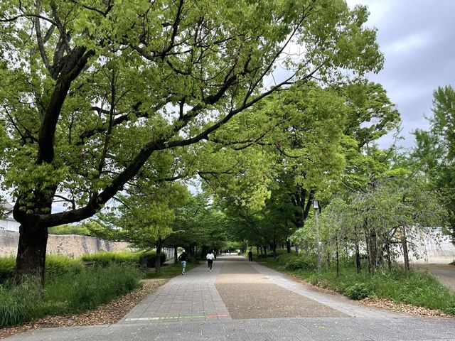 【大阪城公園】天守閣はもちろんお花見、お散歩なんでもできる
