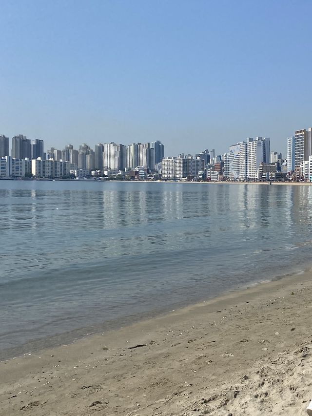 봄바다 부산[광안리 해수욕장]🌊