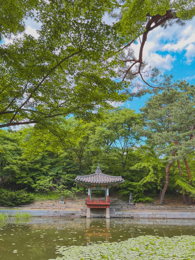 한국의 시크릿 가든 창덕궁 후원🍃