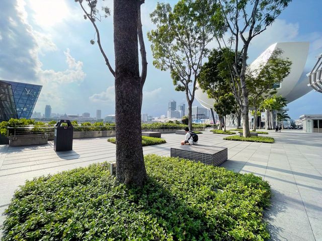 Greenery by the bay