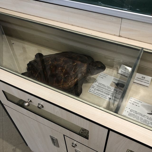 鳥類資料展覽館
