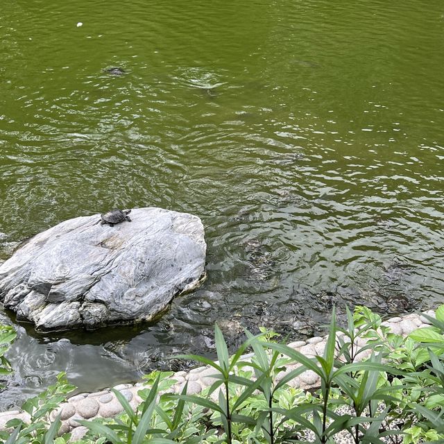 柴灣公園