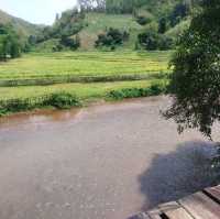 ร้านอาหาร&คาเฟ่ ต้องที่ZUULA