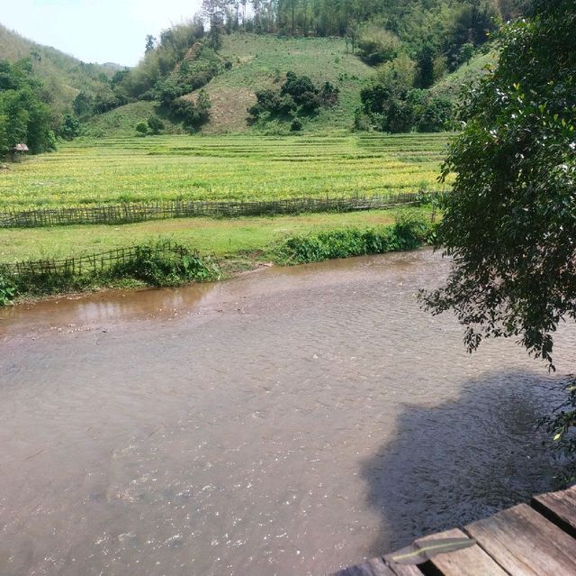ร้านอาหาร&คาเฟ่ ต้องที่ZUULA