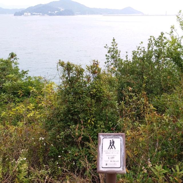 初级行山路線🚶‍♀️🚶‍♀️🚶‍♀️