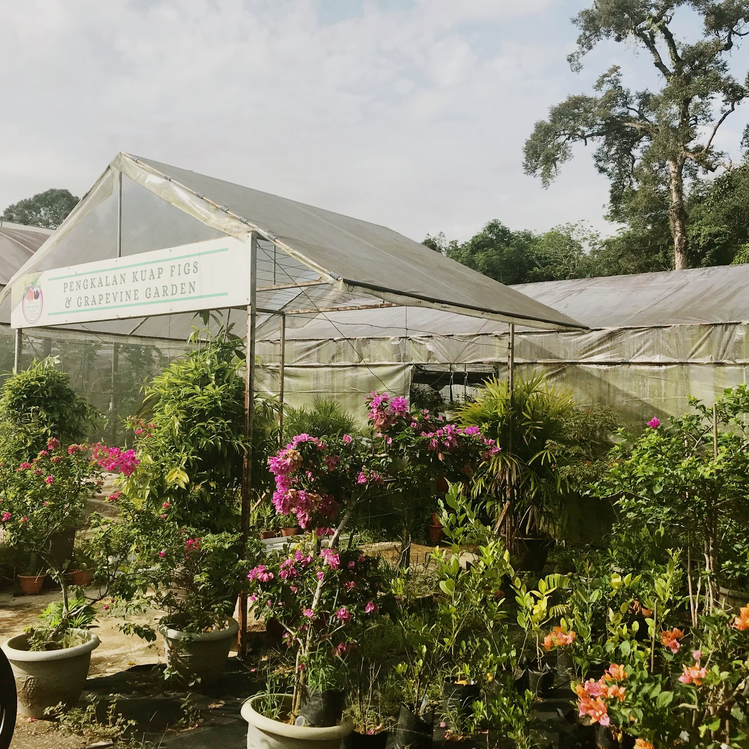 Things to Do in Samarahan Division in 2024 Top Attractions, Local