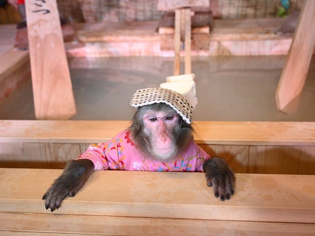 おさ湯
