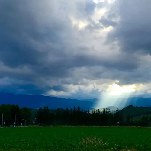 【北海道】星に手の届く丘キャンプ場🐑🐑🐑