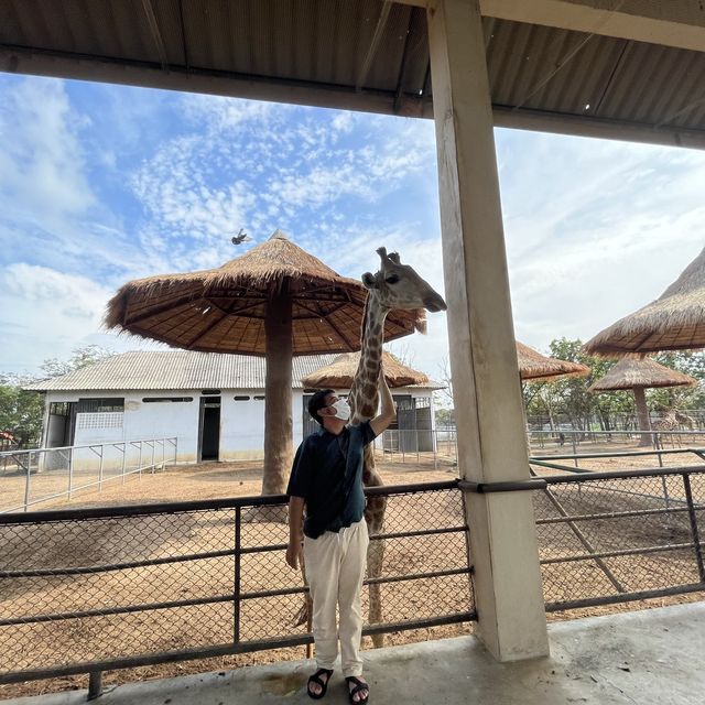 ไปหายีราฟที่บึงฉวาก 🐆🐘🦒🦓🦛🦏🐏🐪