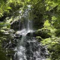 【長野県】大自然あふれる木曽福島町✨