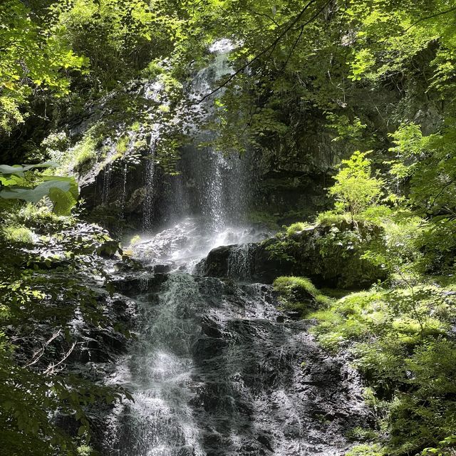 【長野県】大自然あふれる木曽福島町✨