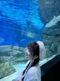 韓劇《聽見你的聲音》拍攝地點🤟Coex水族館