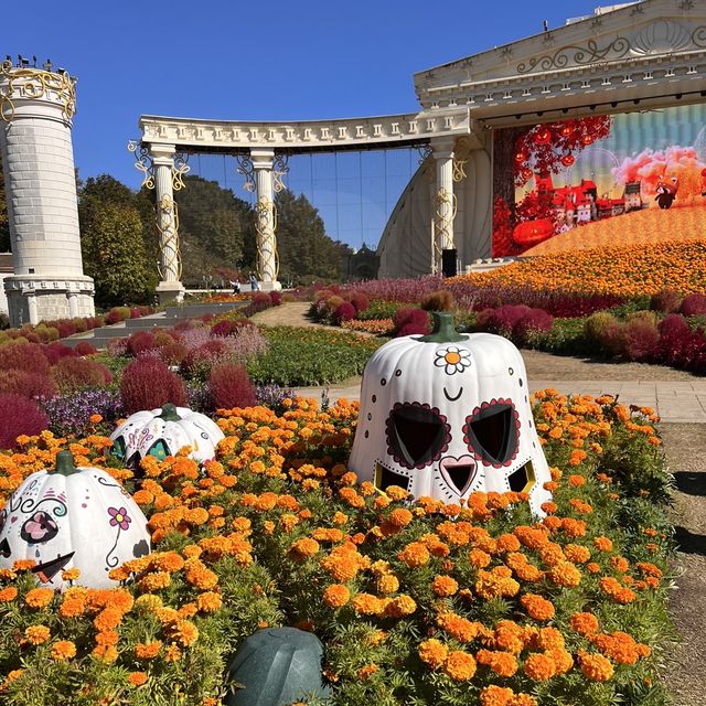 韓国【エバーランド】コキアやコスモスが綺麗🧡秋の庭園 韓国【エバーランド】コキアやコスモスが綺麗🧡秋の庭園