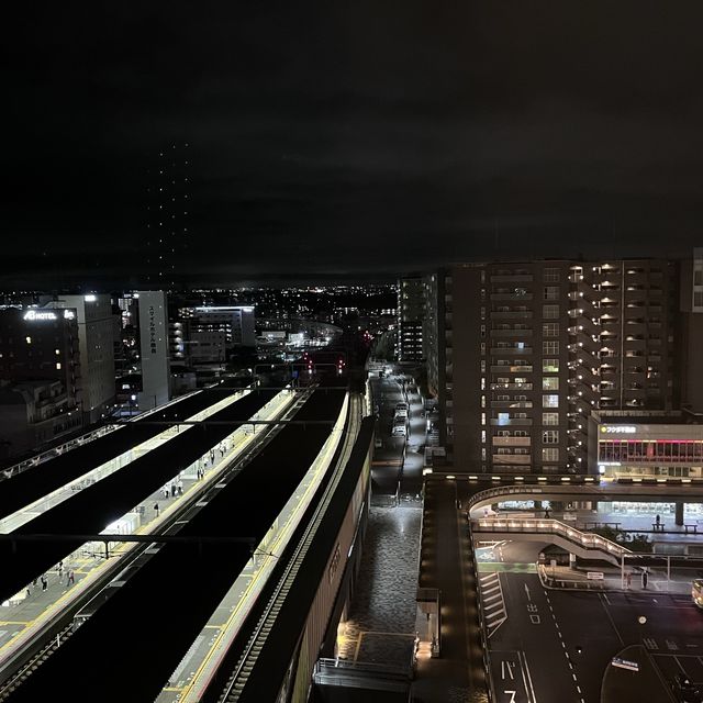 【奈良】駅直結！ホテル日航奈良 宿泊記