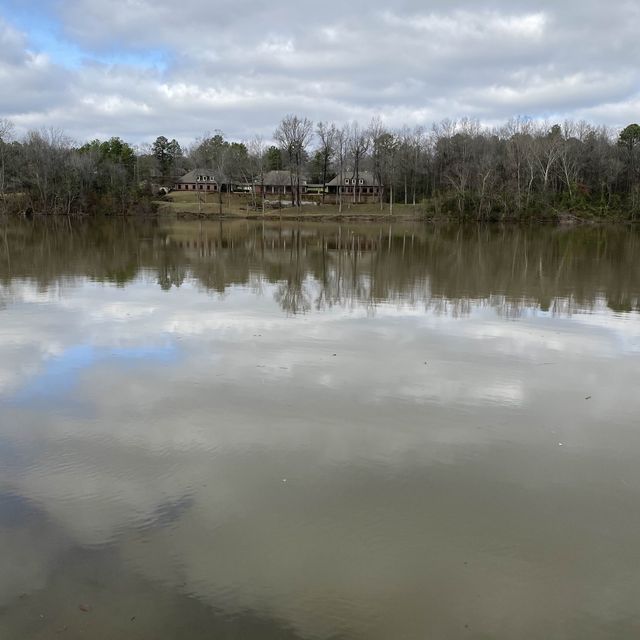 Tuscaloosa Manderson Landing