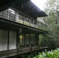 IG秘境美食～無菜單料理「食養山房」～帶你走進禪風境界……好吃好拍好美喔