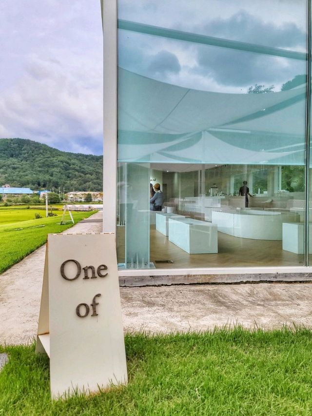 경남 창녕카페 원오브🏡논뷰보며 마시는 커피가 일품!
