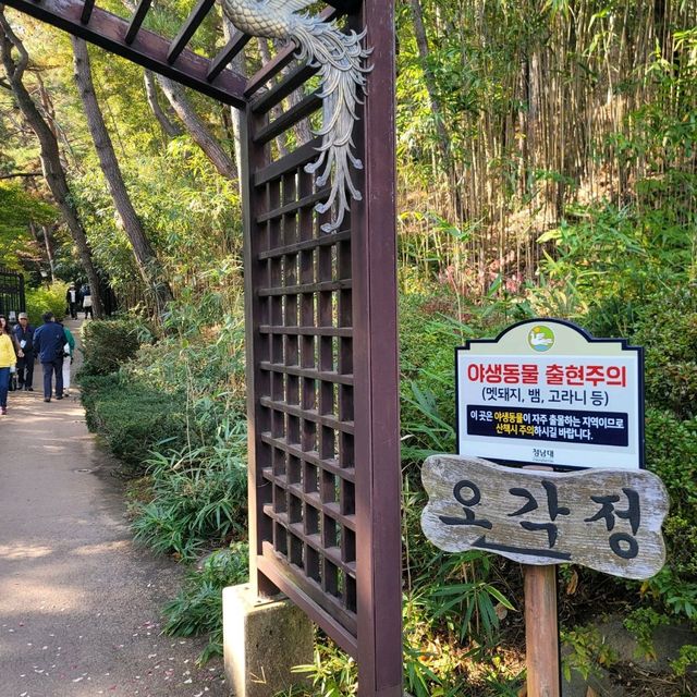 청남대 오각정 길