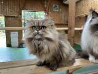 広くて距離の近い動物園