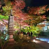 嵐山夜楓@寶嚴院