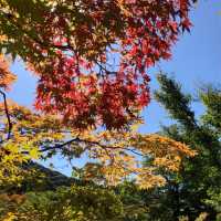 永観堂　京都旅