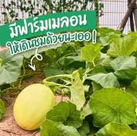 🐫🌵คาเฟ่ทะเลทรายสไตล์แอฟริกา สายคาเฟ่ไม่ควรพลาด