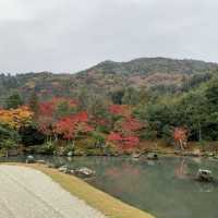 京都紅葉2022 天龍寺の紅葉